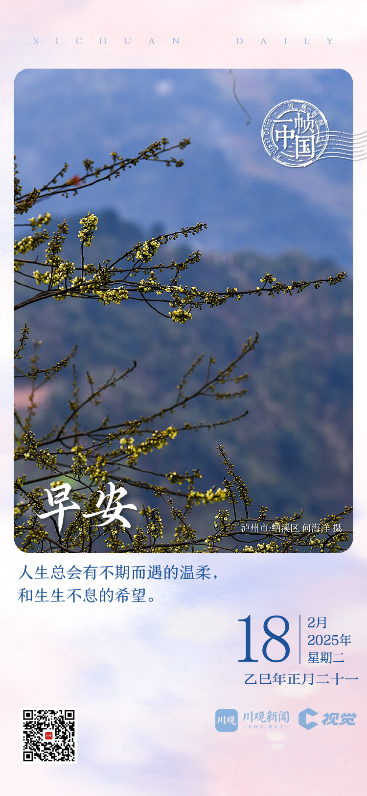 比分